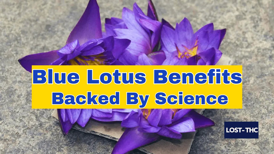 a detailed blog on blue lotus benefits backed by science