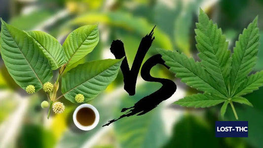 Kratom leaves and cannabis plant side by side with VS graphic comparing two plant-based alternatives