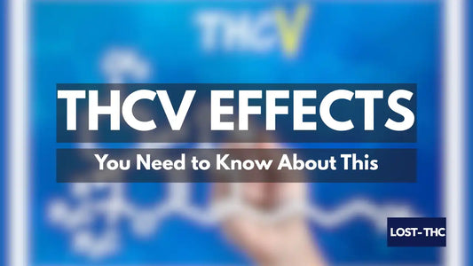 THCV Effects: What You Need to Know About This Unique Cannabinoid