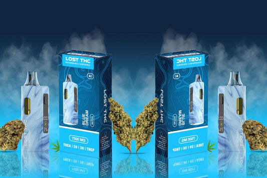 THC Vapes 101: A Patient’s Guide to Disposable THC Vapes