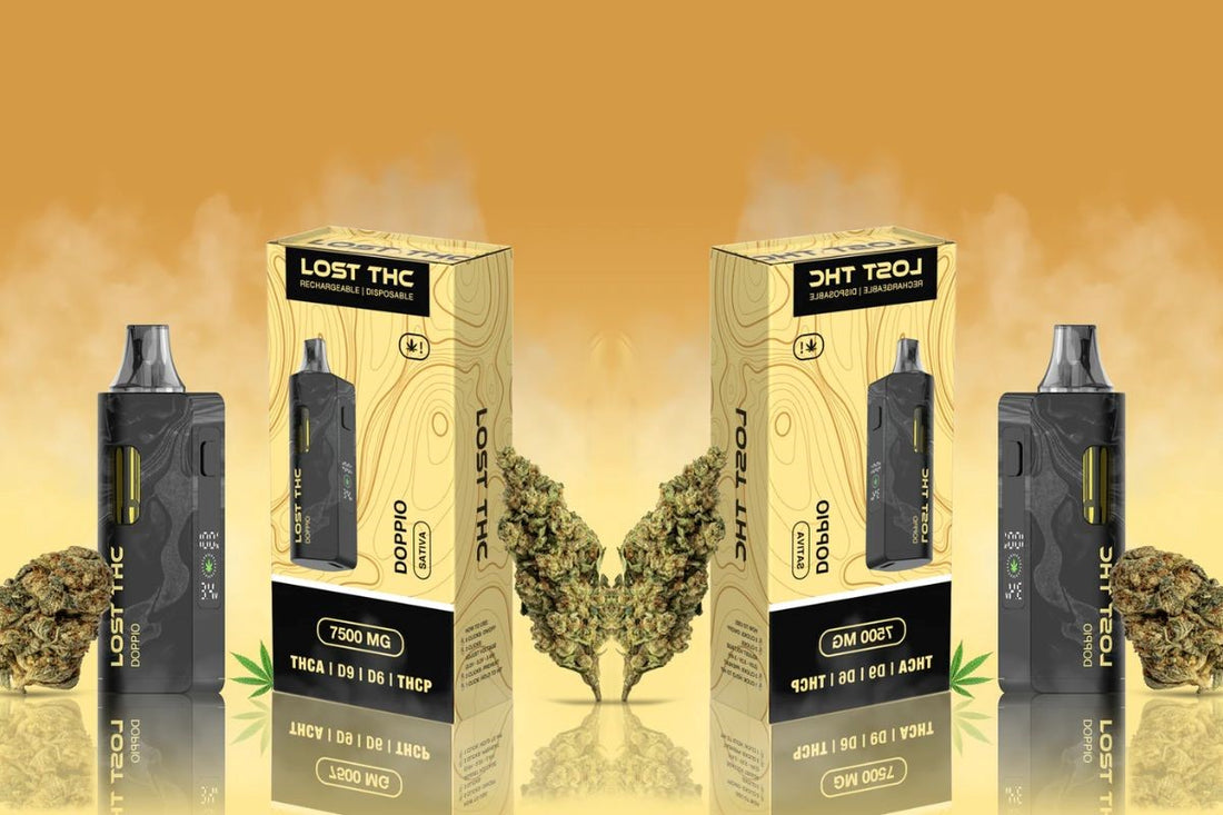 The Best Terpenes for Stress Relief and Sleep: Boost Your CBD Routine with Nature’s Power