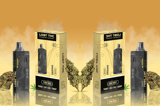 The Best Terpenes for Stress Relief and Sleep: Boost Your CBD Routine with Nature’s Power