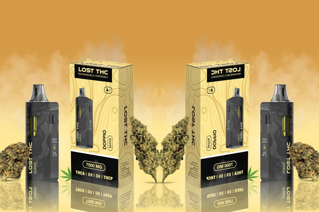 The Best Terpenes for Stress Relief and Sleep: Boost Your CBD Routine with Nature’s Power