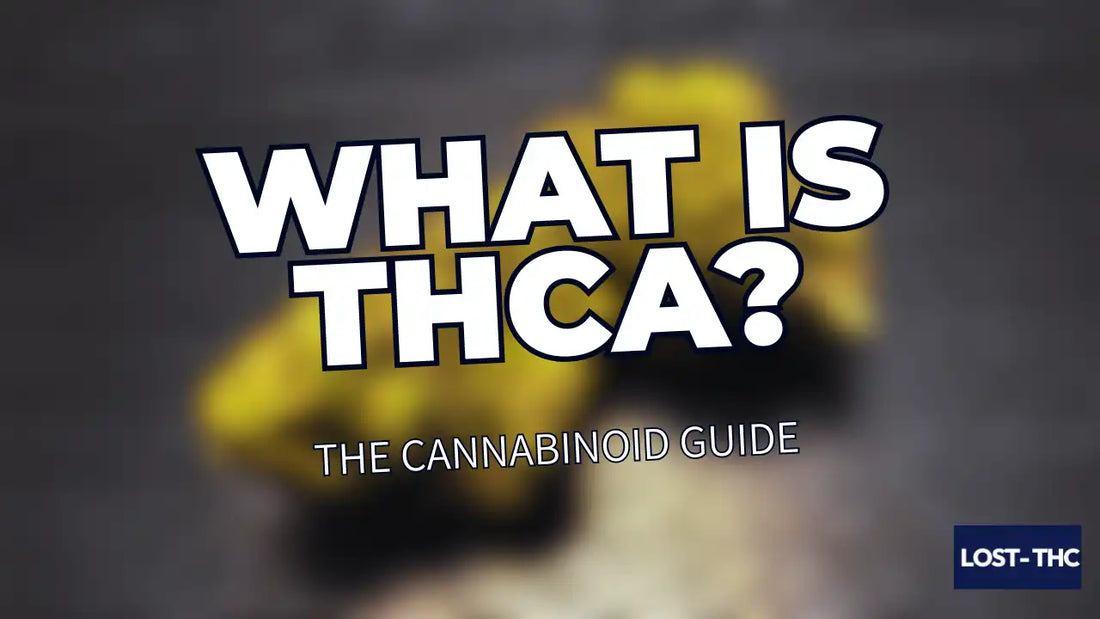 What Is THCA? Everything You Need to Know [2026 Guide]