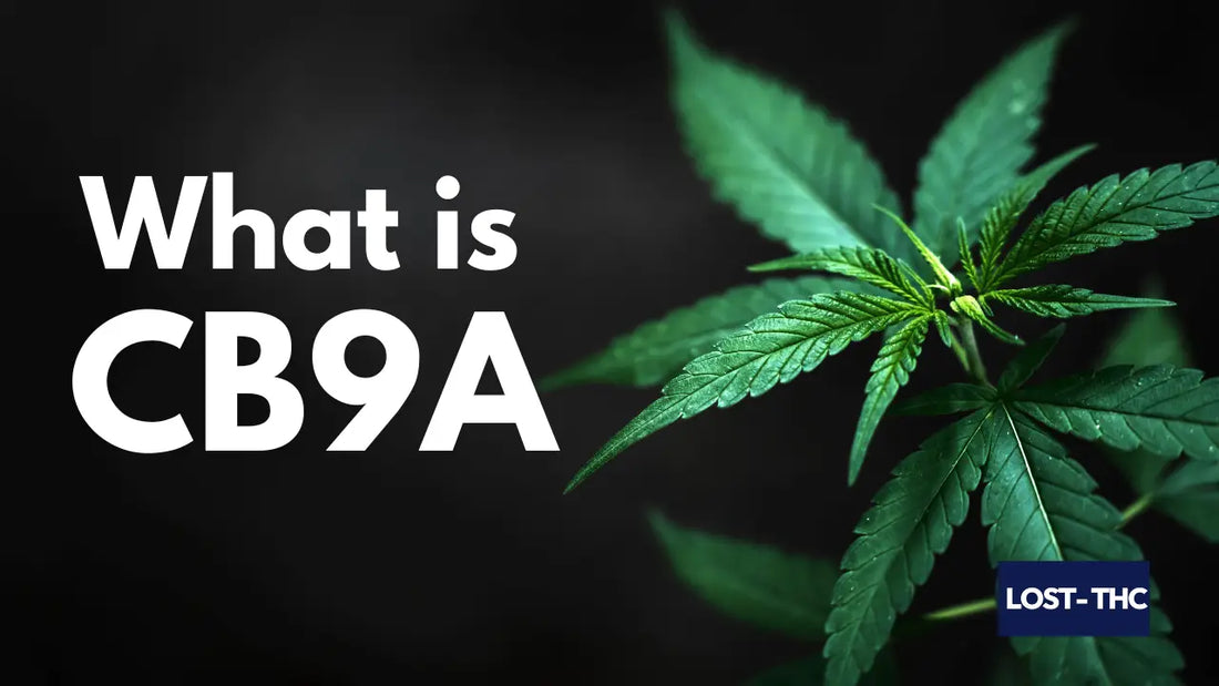 What Is CB9A Cannabinoid - blog by Lost-THC