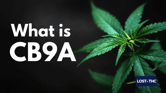 What Is CB9A Cannabinoid - blog by Lost-THC